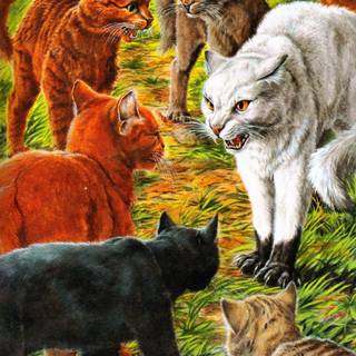 Warrior Cats Official Art wallpaper