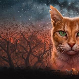 Warrior Cats Official Art wallpaper