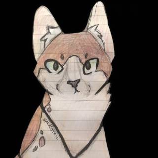 Warrior Cats Official Art wallpaper