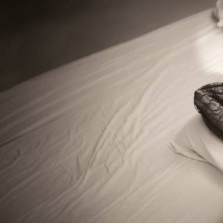 TTPD desktop wallpaper