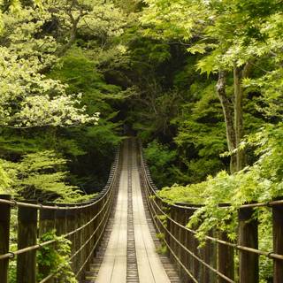 Japan ultrawide wallpaper