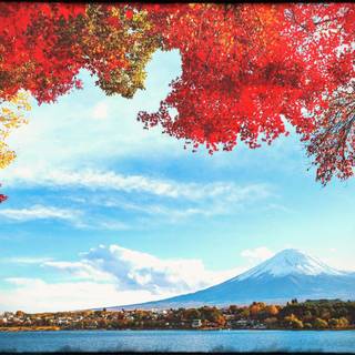 Japanese view wallpaper