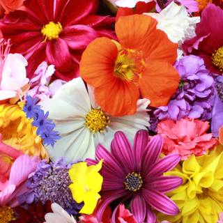 Desktop 4k flowers wallpaper