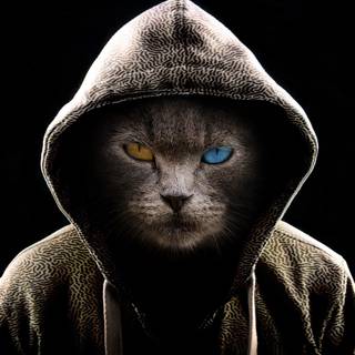 4k dark portrait wallpaper