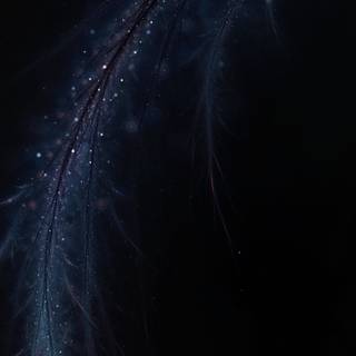 4k dark portrait wallpaper