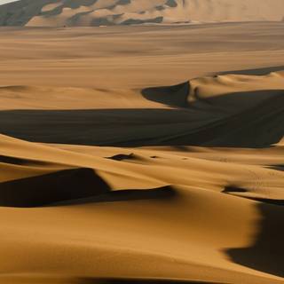 iPhone Dune wallpaper