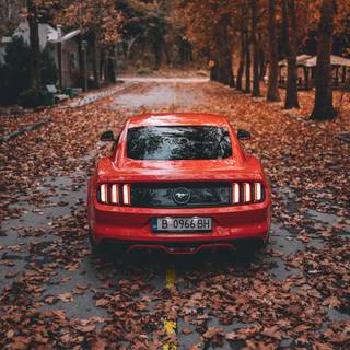 Red car phone wallpaper