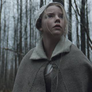 The Witch 2015 wallpaper