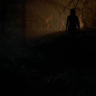 The Witch 2015 wallpaper