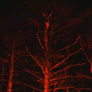 The Witch 2015 wallpaper