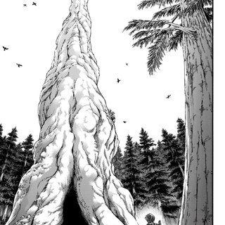 Attack On Titan tree wallpaper