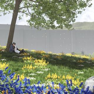 Attack On Titan tree wallpaper