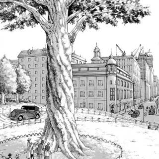 Attack On Titan tree wallpaper