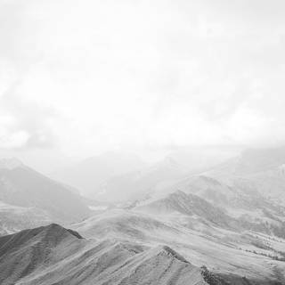 White nature 4k wallpaper