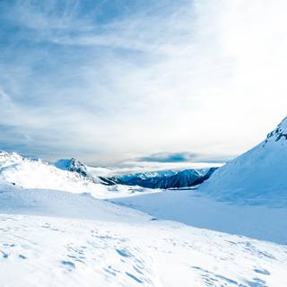 White nature 4k wallpaper