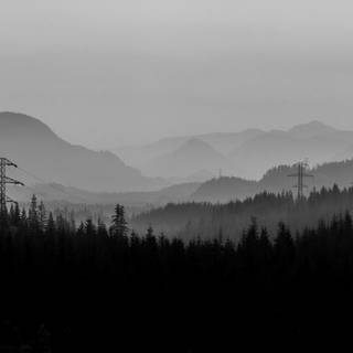 White nature 4k wallpaper