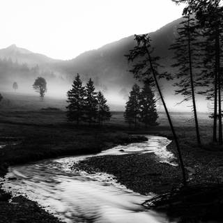 White nature 4k wallpaper