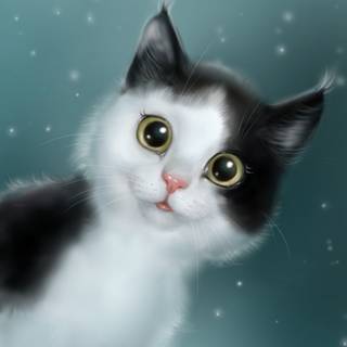 Cat 4k Android wallpaper