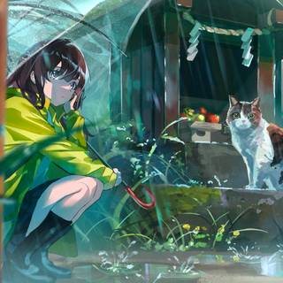 Cat cartoon 4k wallpaper