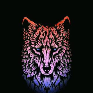 Wolf 4k mobile wallpaper