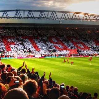 Stadiums 4k wallpaper