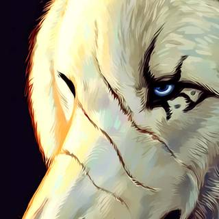 Wolf 4k mobile wallpaper