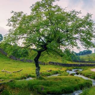 Ireland iPhone 4k wallpaper