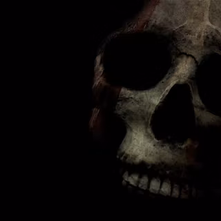 Skeleton black wallpaper