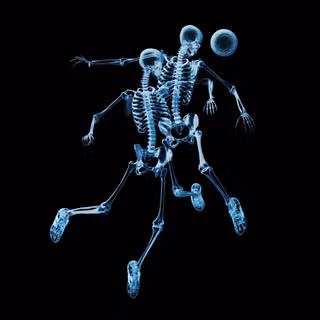 Skeleton black wallpaper