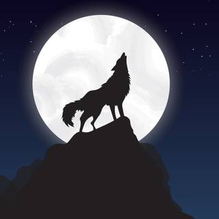Wolf laptop wallpaper