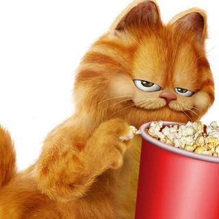 The Garfield Movie wallpaper