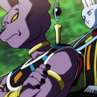 Whis and Beerus wallpaper