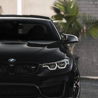 Black BMW M4 wallpaper