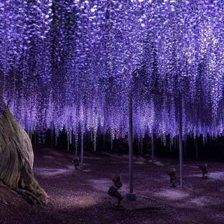 Wisteria Demon Slayer wallpaper