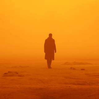 Blade Runner 2049 mobile wallpaper