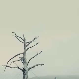 Blade Runner 2049 mobile wallpaper