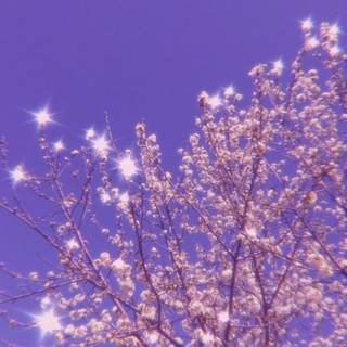 90s mobile wallpaper