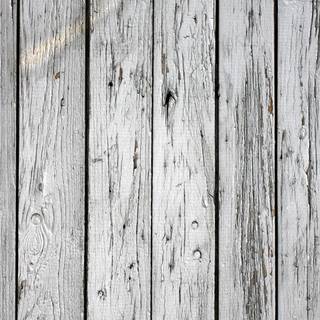 Desktop woods wallpaper