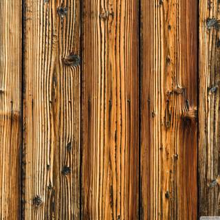 Desktop woods wallpaper