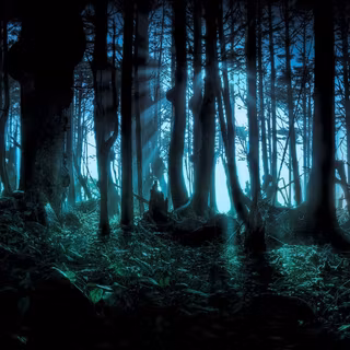 Desktop woods wallpaper