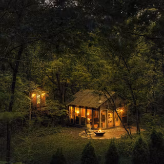 Desktop woods wallpaper