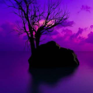 4k mobile purple wallpaper