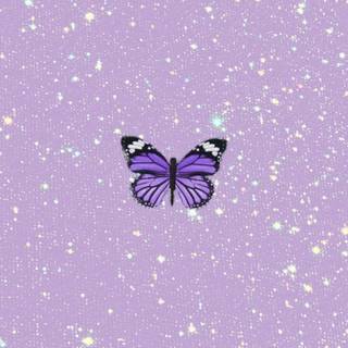 Pastel purple iPhone wallpaper