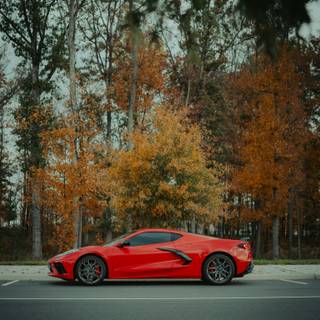 Corvette Stingray iPhone wallpaper