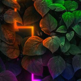 Dark neon phone wallpaper