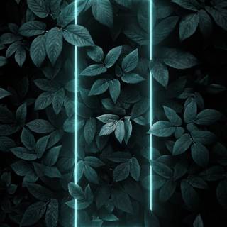 Dark neon phone wallpaper