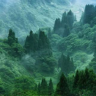 iPhone scenary wallpaper