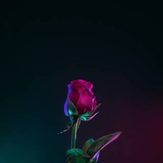 Dark neon phone wallpaper