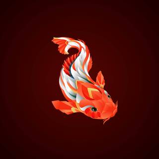 Koi iPhone wallpaper