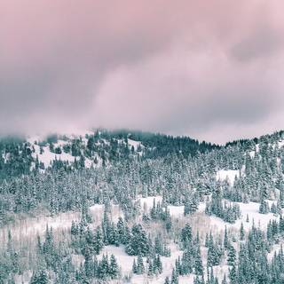 Nordic iPhone wallpaper